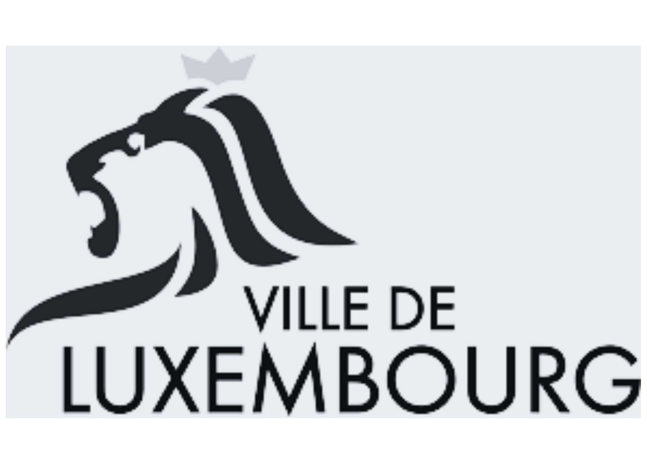 luxembourg videographer